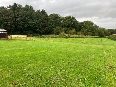 Dedicated Dog Training Centre